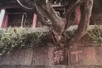 球速体育app-?脵渎幄P?谀>??婣葵鱵?